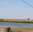 Вопрос водоснабжения в районах Заволжья остается приоритетным. - Новоузенский район