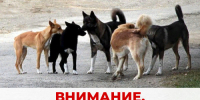 Уважаемые жители Новоузенского района!. - Новоузенский район