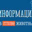 Уважаемые жители Новоузенского района!. - Новоузенский район