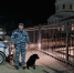 IMG_20260413_105206.png - ОМВД "Новоузенский" 